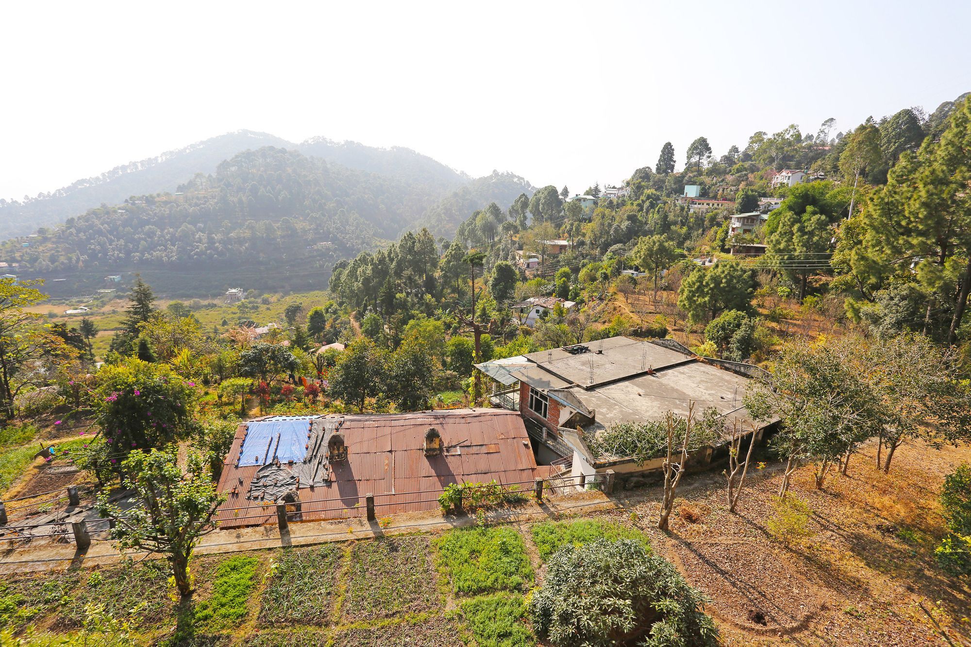 Oyo Home 10312 Spacious Studio Bhowali Nainital Eksteriør billede
